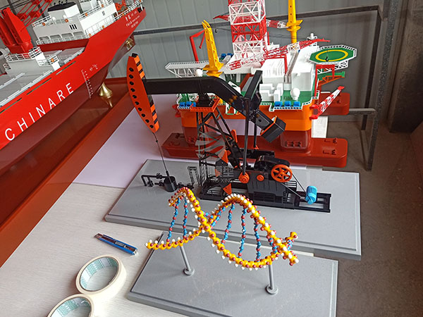 宁河区船舶模型