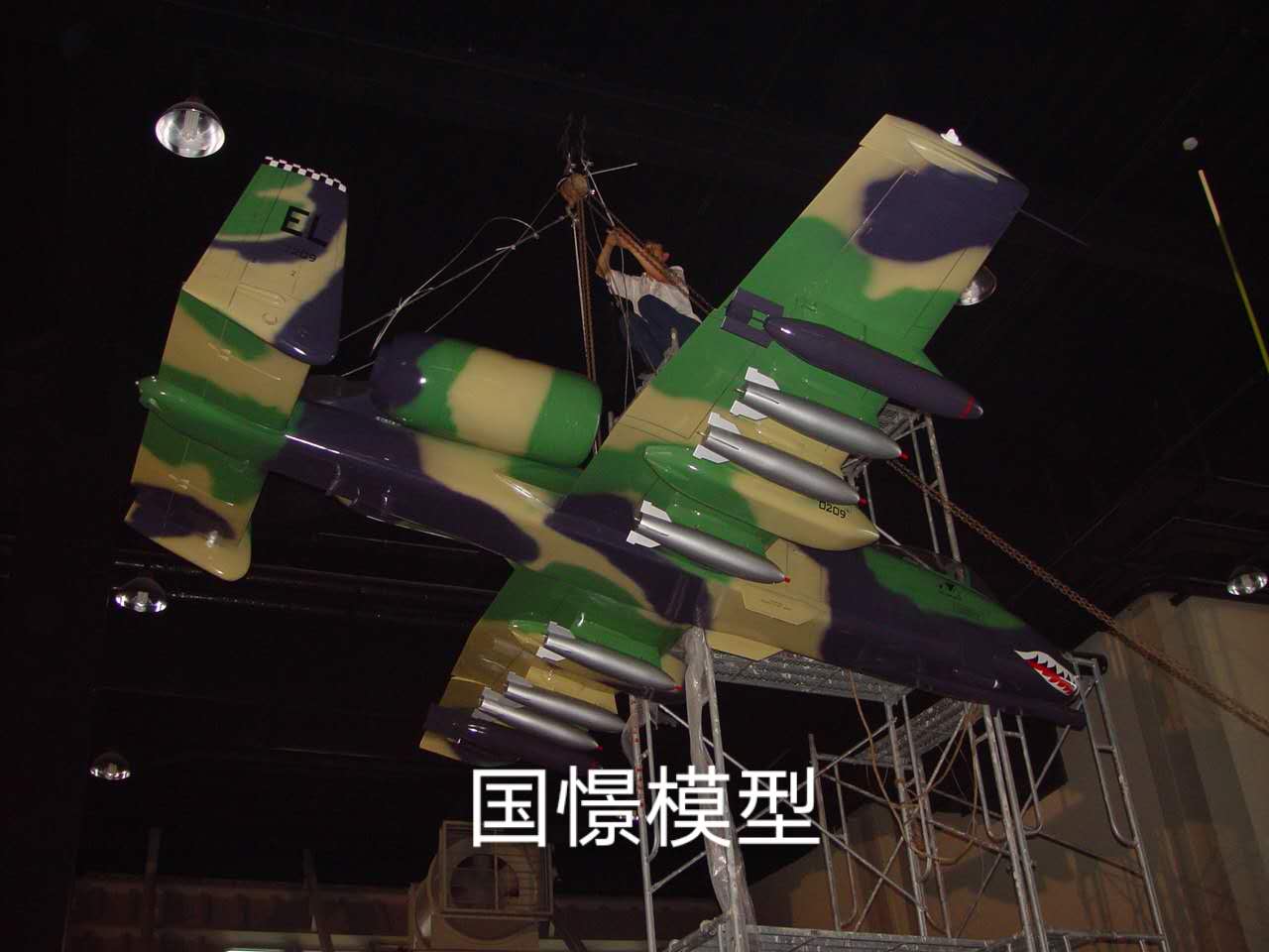 宁河区军事模型