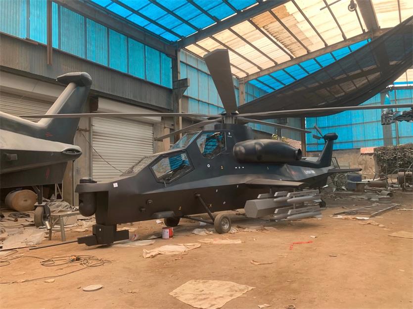 宁河区军事模型