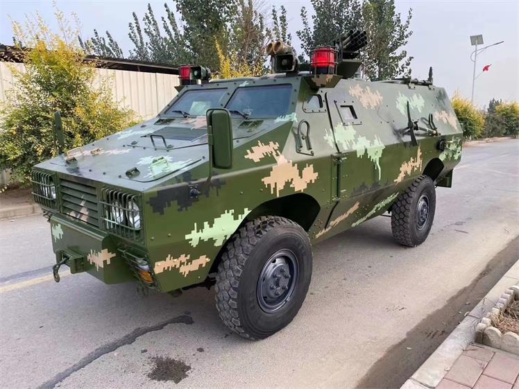 宁河区军事模型